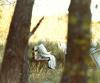 Pope John Paul II sitting with a book on a bench in Elk Island National Park