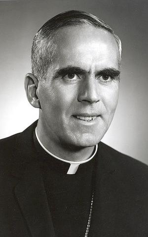 Original Digitaal object not accessible